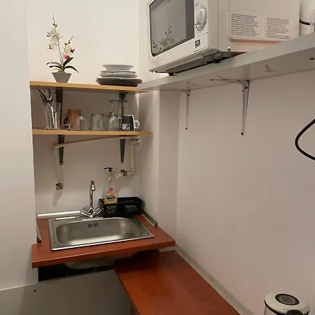 Apartment Studio Piata Amzei 1 *